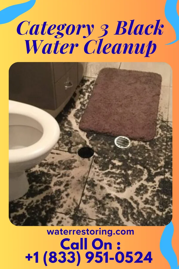 Category 3 Black Water Cleanup in Beallsville, OH