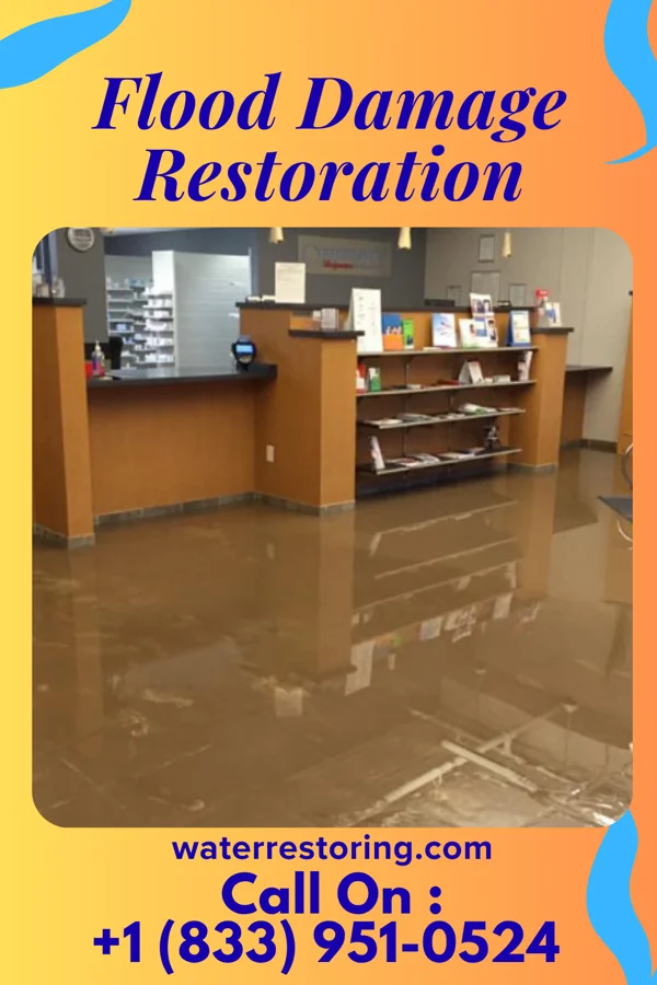 Flood Damage Restoration in Beallsville, OH