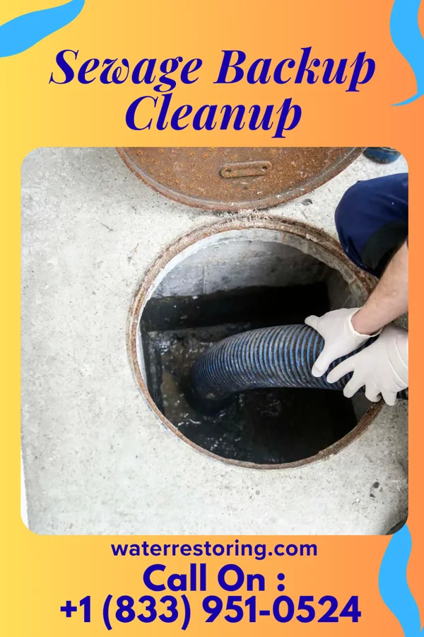 Sewage Backup Cleanup in Beallsville, OH