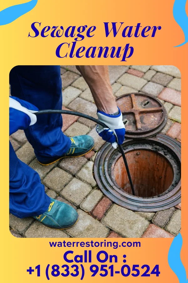 Sewage Water Cleanup in Beallsville, OH